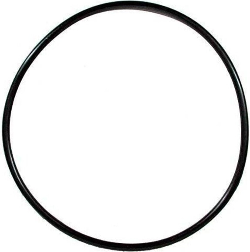 O-ring f/Engine Unit EX1200