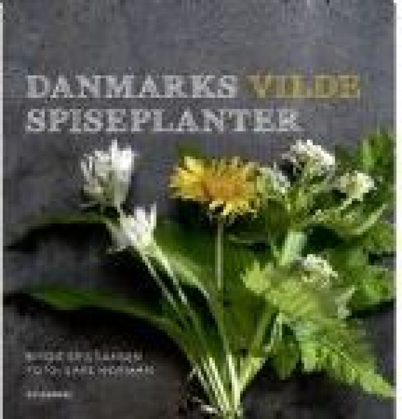 Danmarks vilde spiseplanter Birgit Kristiansen Språk: Dansk