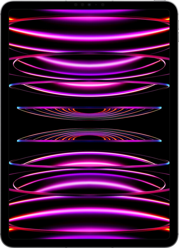 Ipad Pro (2022) Wi-fi + Cellular 11" M2 128gb Romgrå