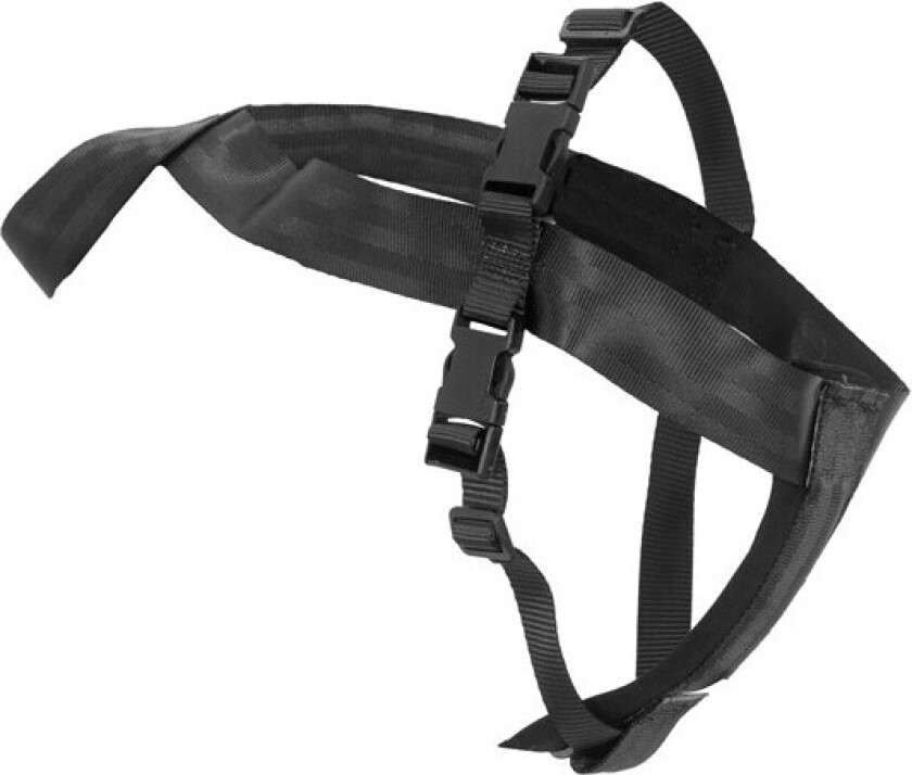 Sikkerhetssele til bil