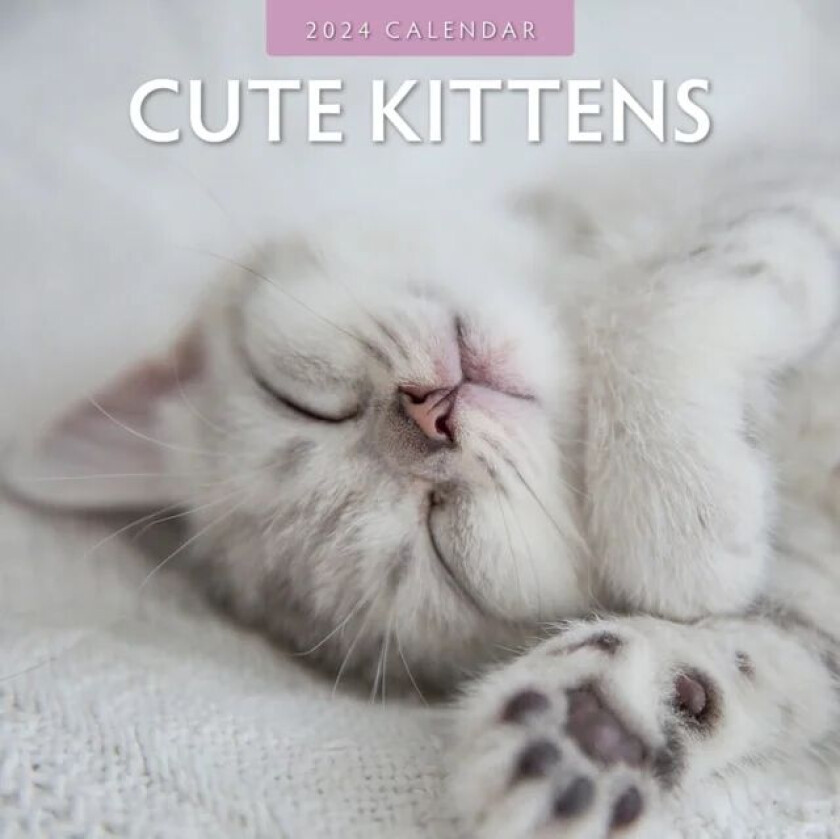 Cute Kittens 2024 Square Wall Calendar av Red Robin Publishing Ltd.