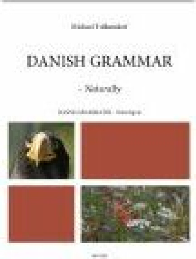 Danish Grammar Michael Falkendorf Språk: Engelsk