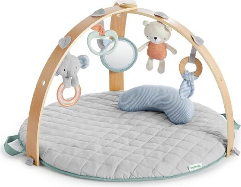 Babygym, Reversible Activity Center