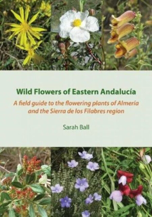 Wild Flowers of Eastern Andalucia av Sarah Ball