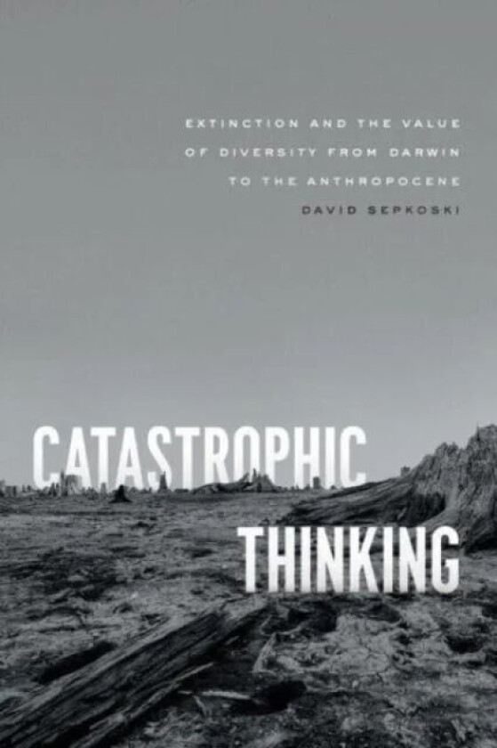 Catastrophic Thinking av David Sepkoski