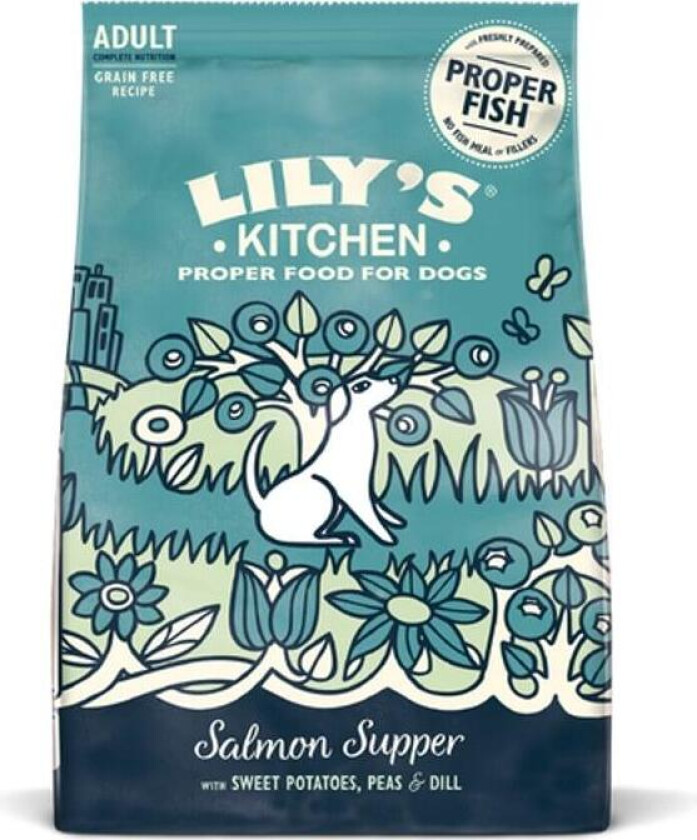 Salmon Supper Tørrfôr til hund 2,5 kg