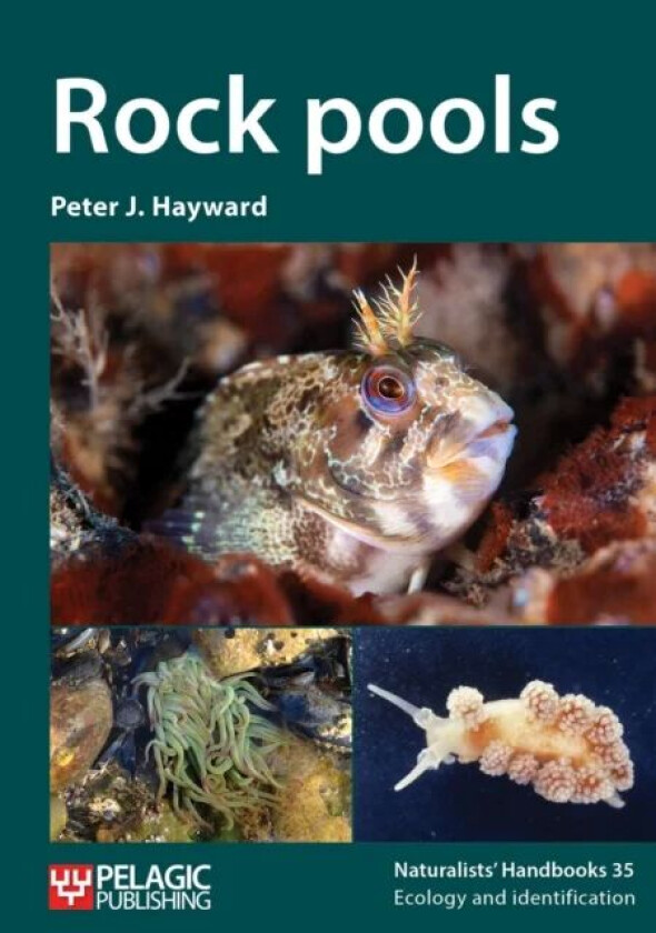 Rock pools av Peter J. Hayward