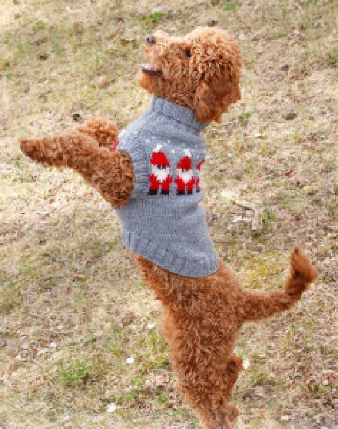 Merry Santas by DROPS Design - Hundegenser Strikkeoppskrift str. XS - - Medium