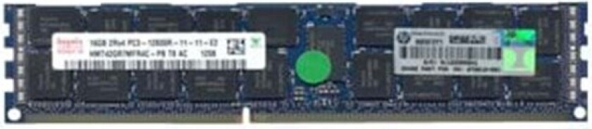 E - DDR3 - modul - 16 GB - DIMM 240-pin - 1600 MHz / PC3-12800 - CL11 - registrert - ECC