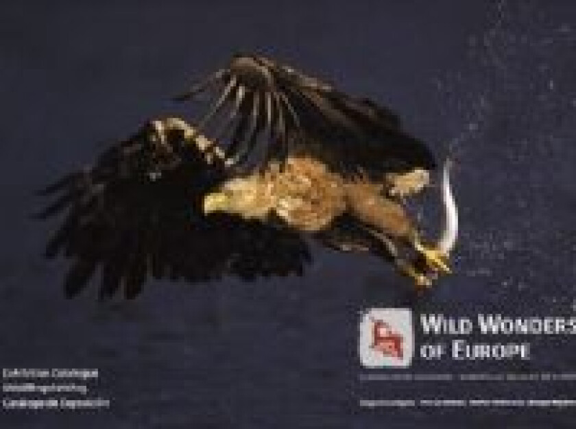 Ville underverker i Europa Staffan Widstrand, Bridget Wijnberg, Florian Möllers, Magnus Lundgren Språk: Dansk