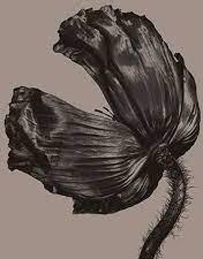 PET SHOP BOYS - RELEASE (VINYL)