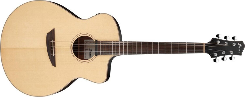 Pa300e-Nsl Gitar M/mik & Softcase Pa Series