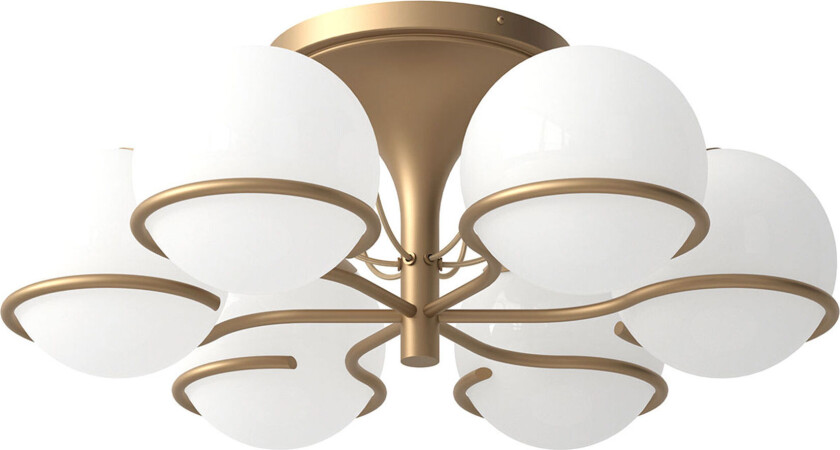 Model 2042/6 Champagne