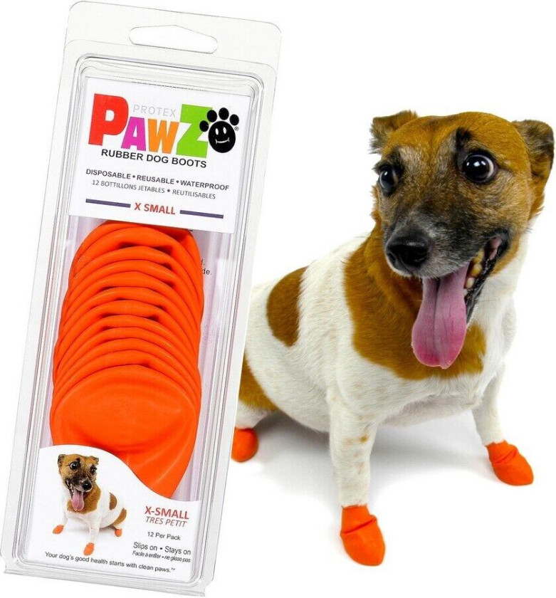 Sko Pawz Hund Oransje XS