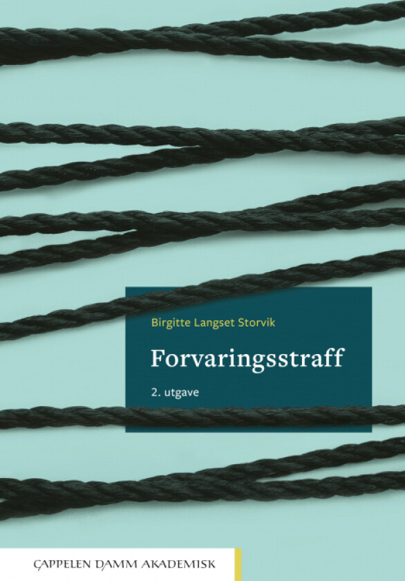 Forvaringsstraff av Birgitte Langset Storvik