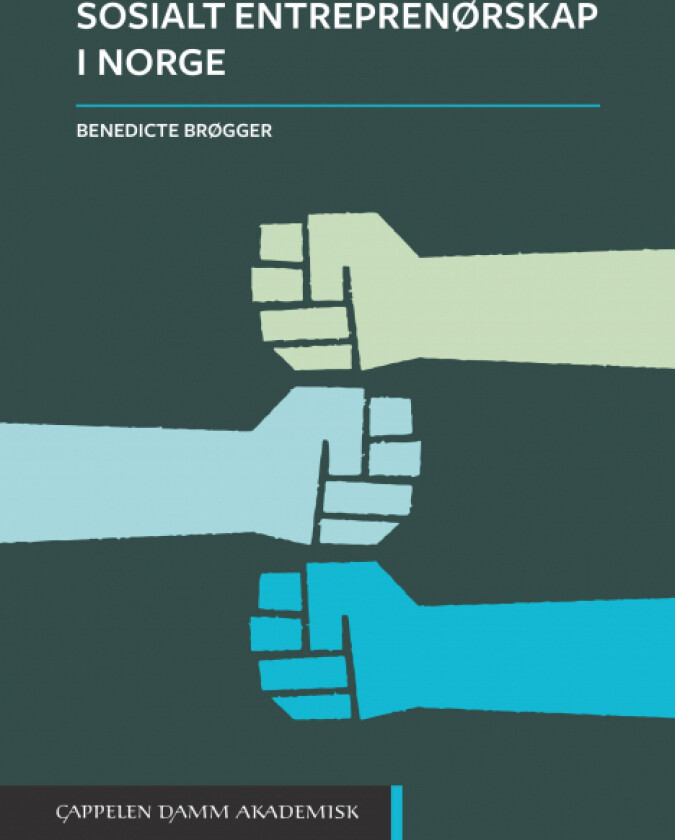 Sosialt entreprenørskap i Norge av Benedicte Brøgger