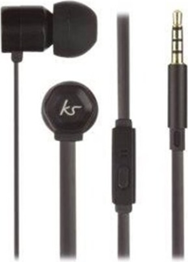 - earphones with mic