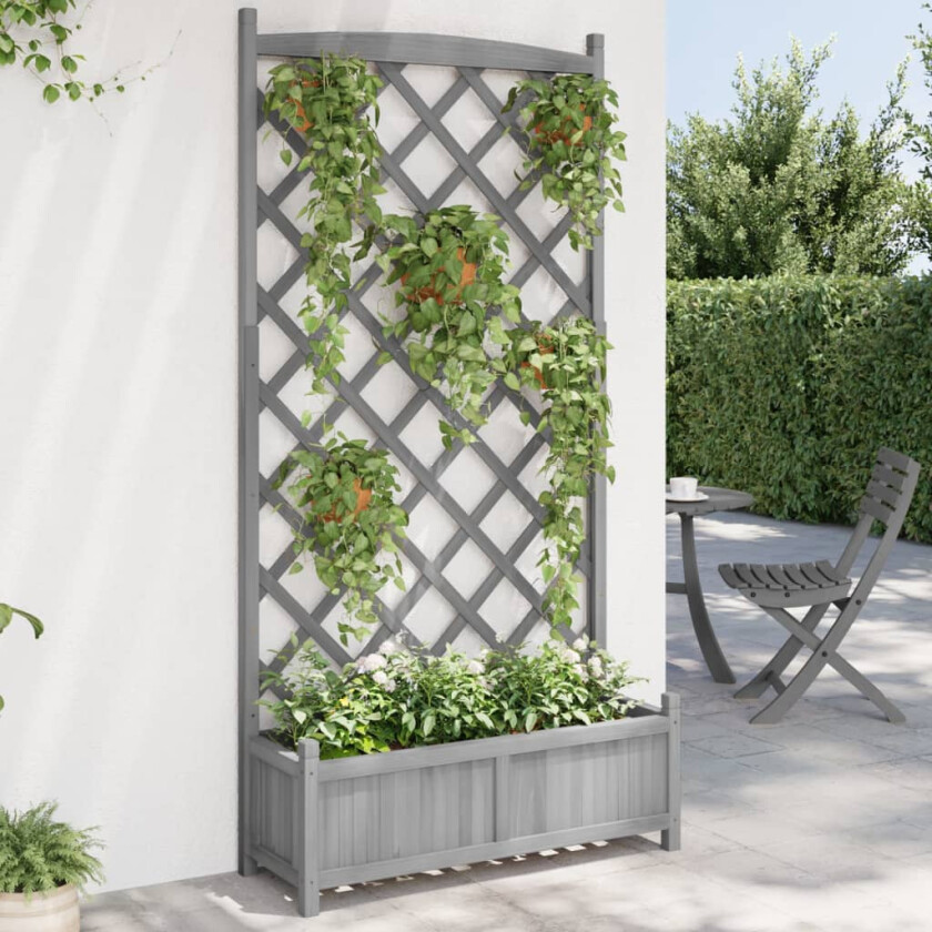 Plantekasse med espalier grå heltre gran