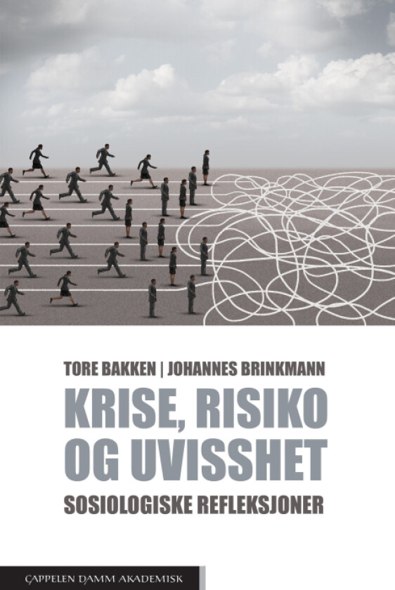Krise, risiko og uvisshet av Tore Bakken, Johannes Brinkmann