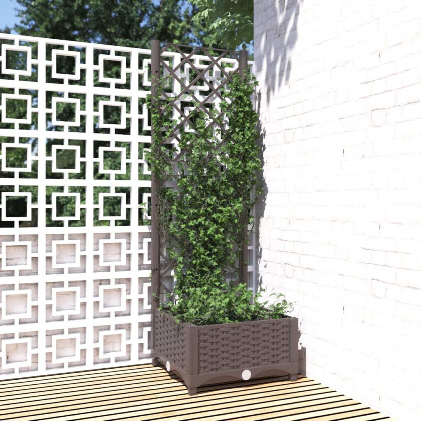 Plantekasse med espalier brun 40x40x121,5 cm PP