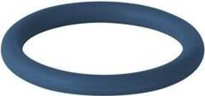 Bilde av O-ring FPM-Mapress 15mm