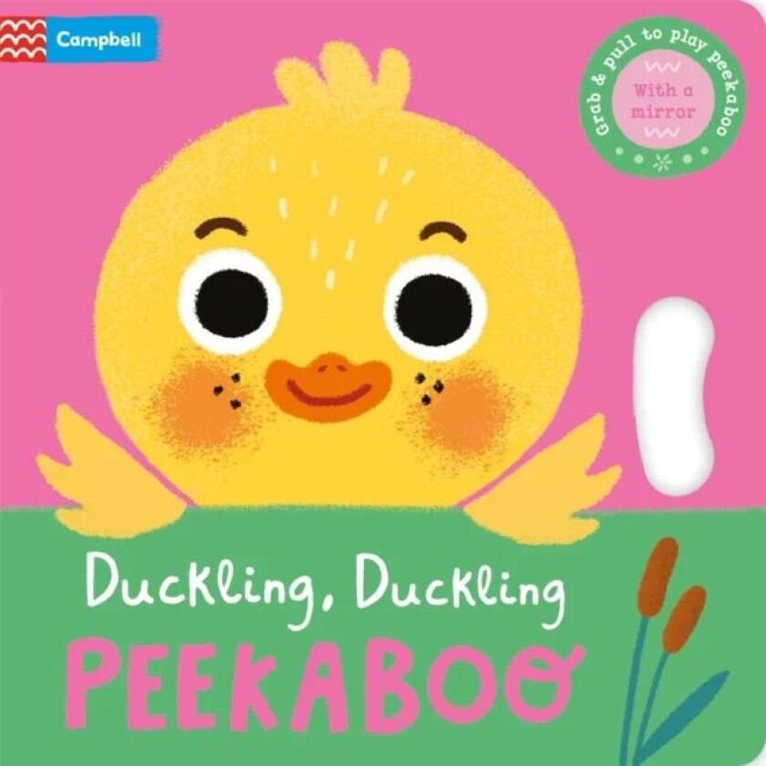 Duckling, Duckling, PEEKABOO av Campbell Books