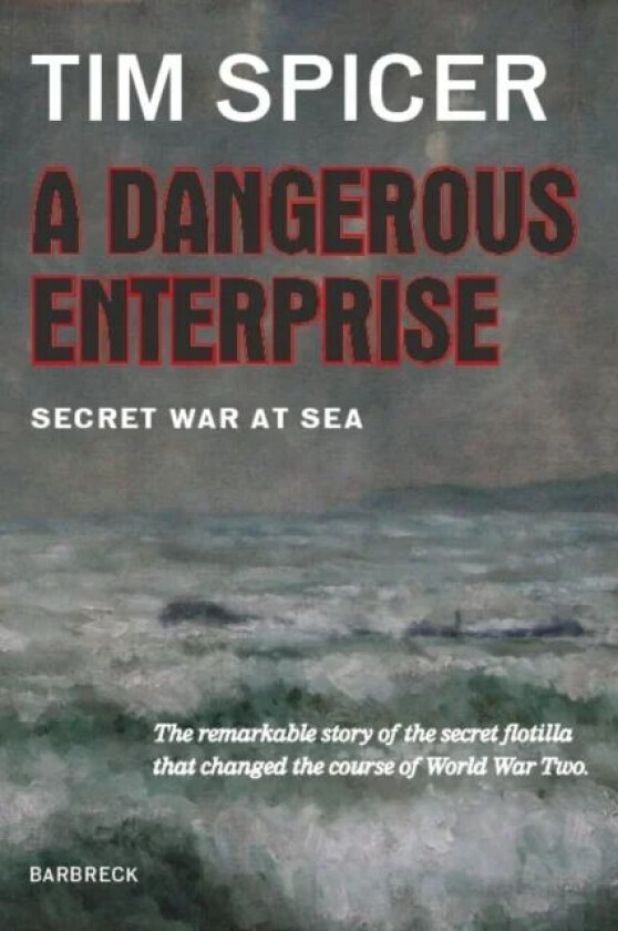 A Dangerous Enterprise av Tim Spicer