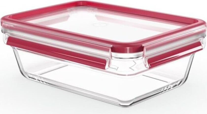 MasterSeal Glass Rectangular 1300ml