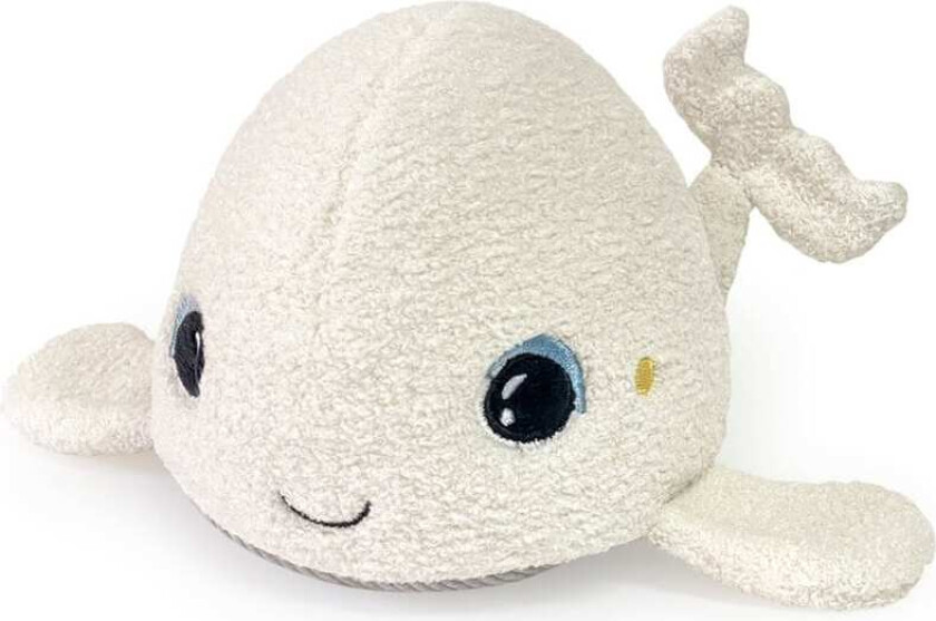 Speldosa Nattlampa Val Pabobo