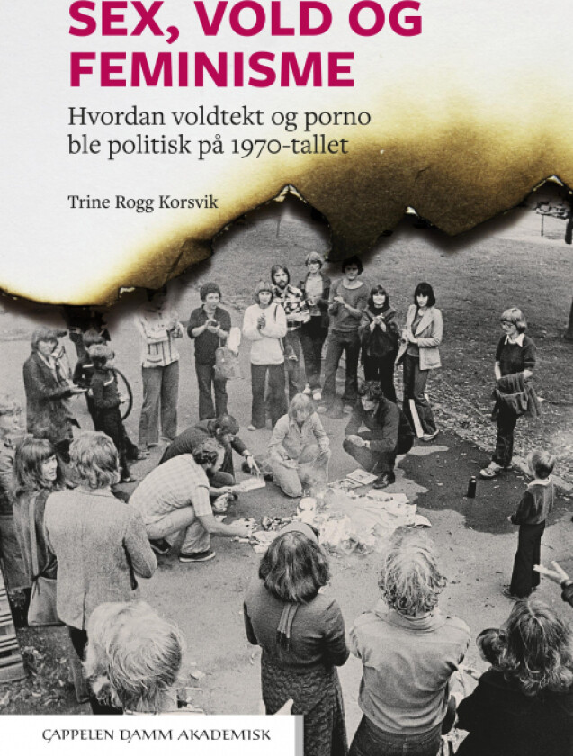 Sex, vold og feminisme av Trine Rogg Korsvik