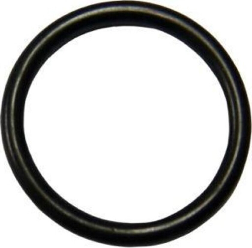 O-ring, Ø17,13 x 2,62 mm
