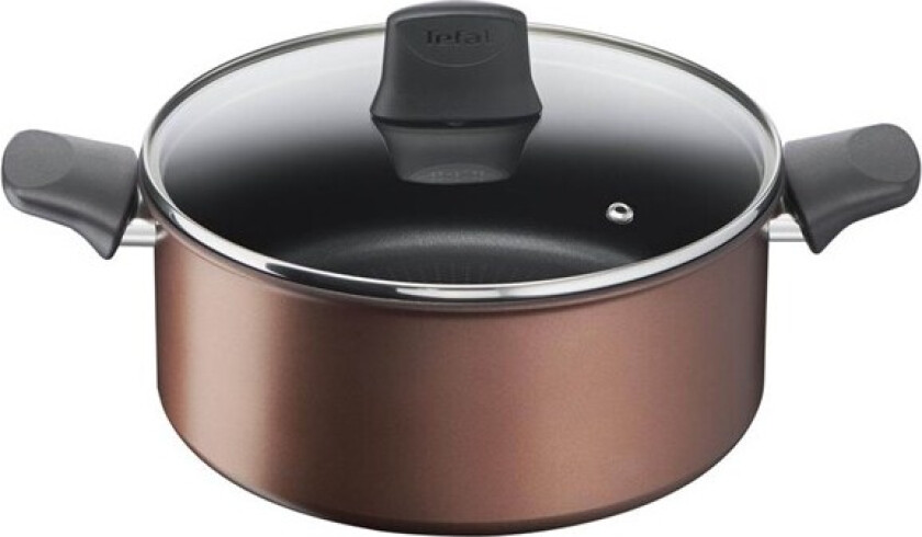 Resource Stewpot 24 cm/5.2 l. w. lid
