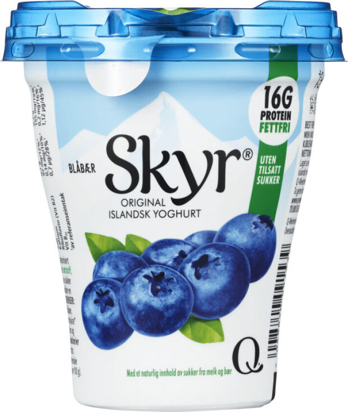 Skyr Blåbær 160g