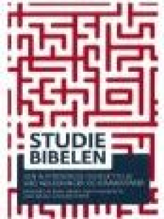 Studiebibelen Bodil Ejrnæs, Geert Hallbäck, Hans Jørgen Lundager Jensen (red.) Språk: Dansk