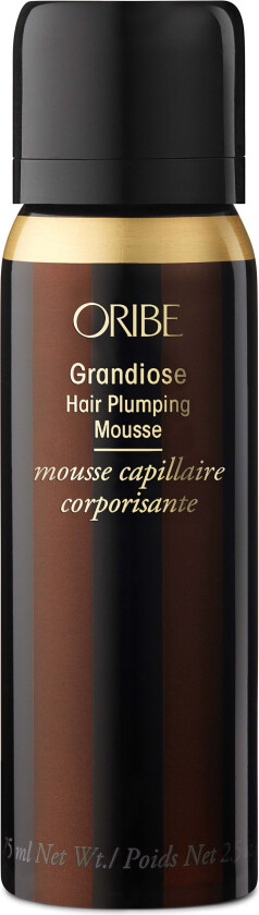 Gold Lust Grandiose Hair Plumping Mousse 65 ml