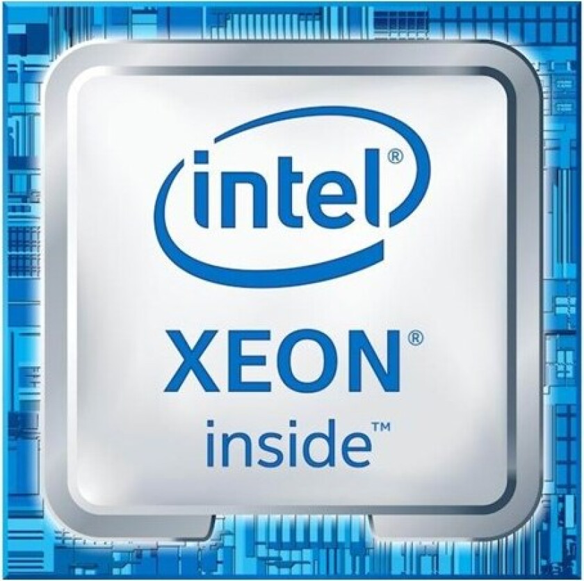 Xeon E-2246G / 3.6 GHz processor Prosessor/CPU - 6 kjerner - 3.6 GHz - LGA1151 - Bulk (uten vifte)
