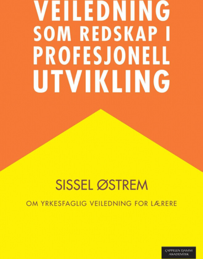 Veiledning som redskap i profesjonell utvikling av Sissel Østrem