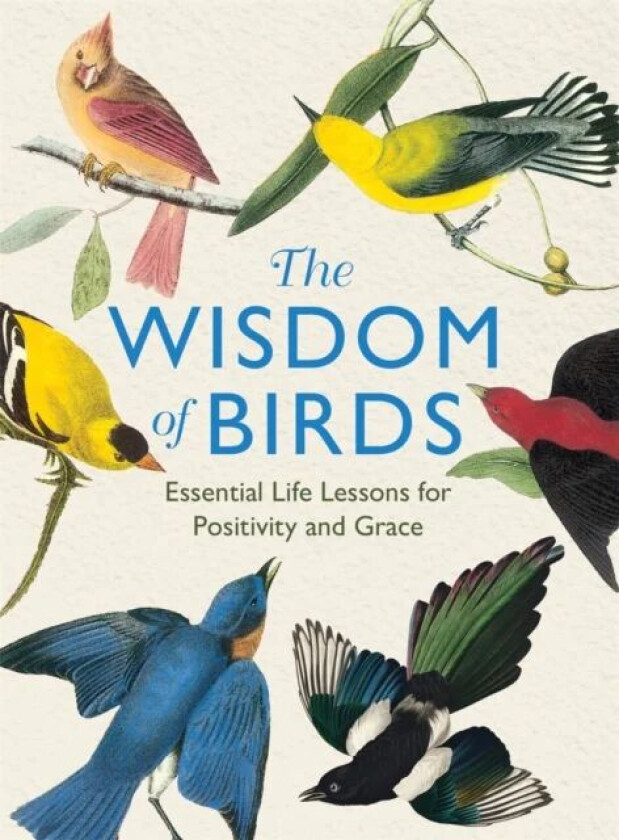 The Wisdom of Birds av Alison Davies