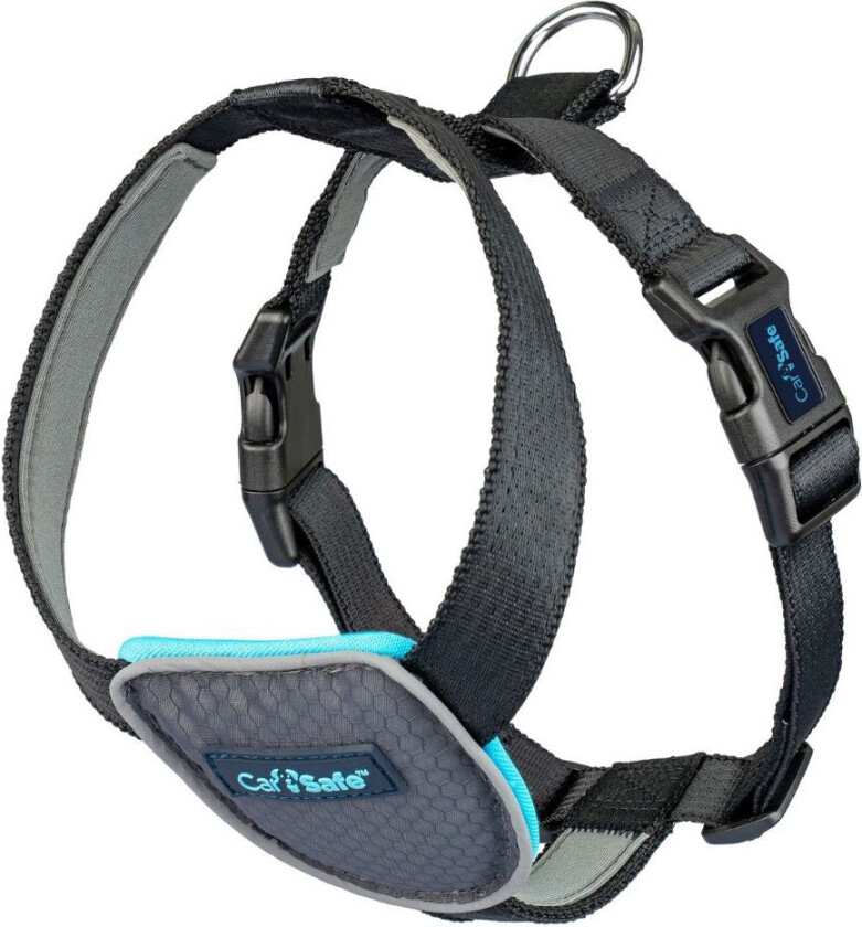 Hundesele for bil, svart - Str XS: 40 - 52 cm Brystomfang