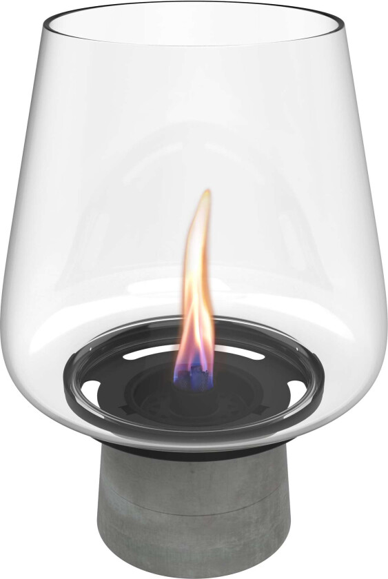 TenderFlame Amaryllis MgO H33cm