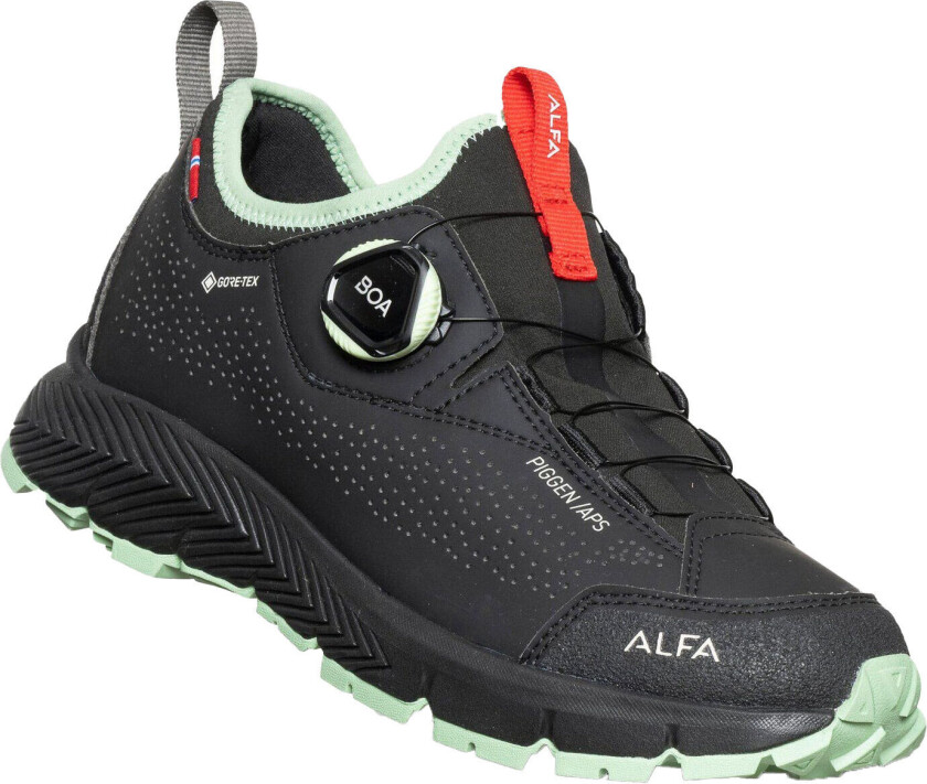 Piggen A/p/s GTX Black Dame 37
