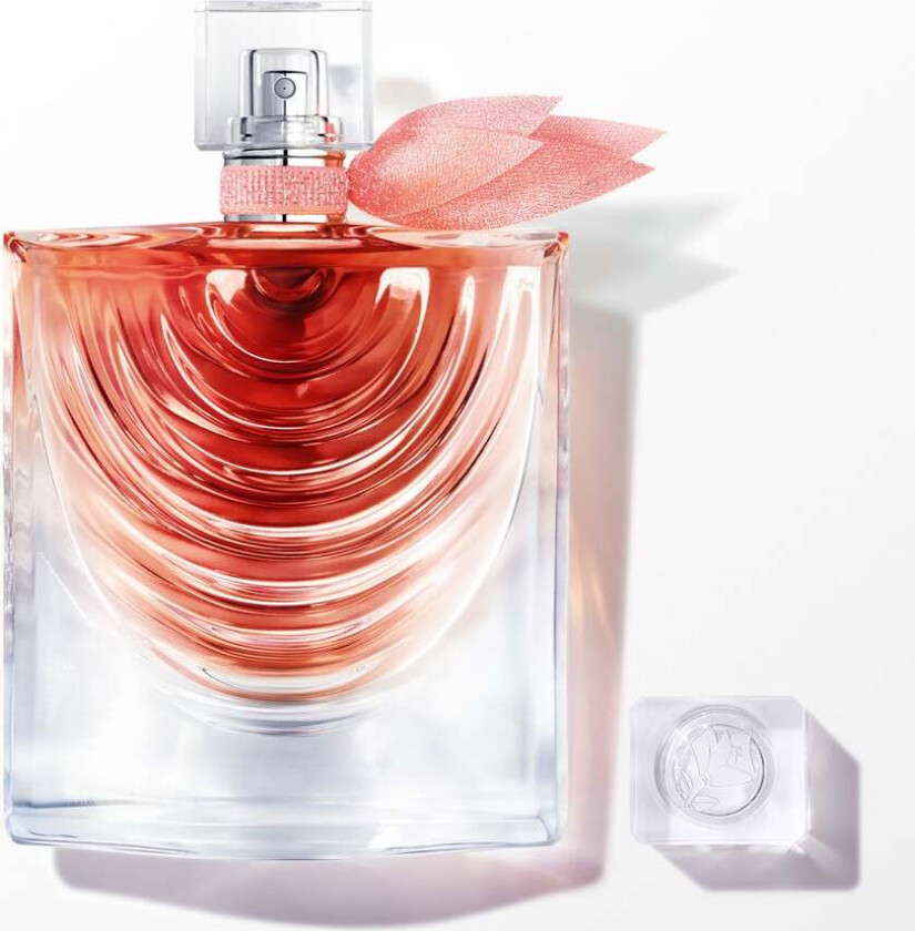 La Vie Est Belle Iris Absolu EdP (Størrelse: 100 ML)