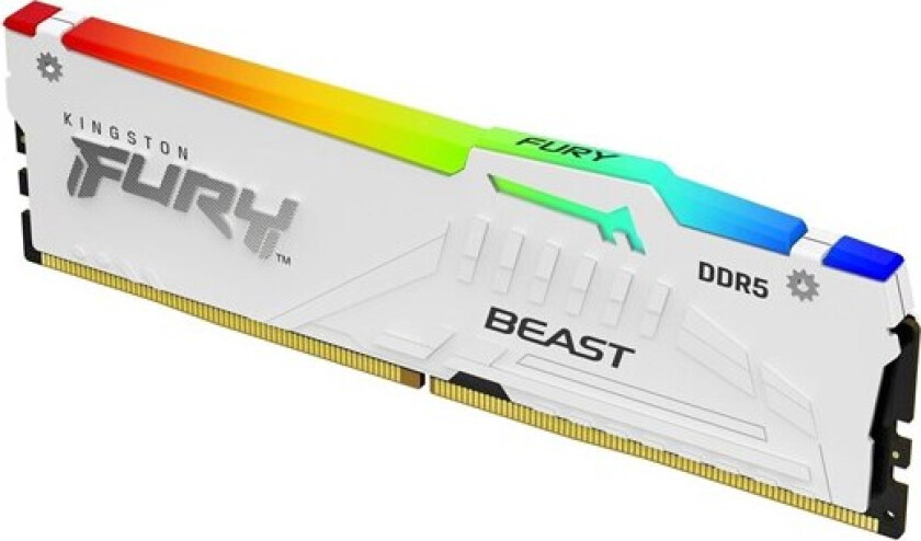 FURY Beast RGB DDR5-5600 C40 SC - 32GB