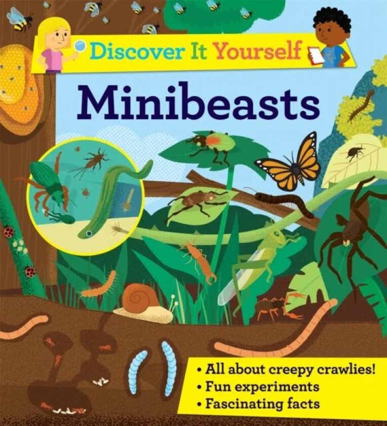 Discover It Yourself: Minibeasts av Sally Morgan