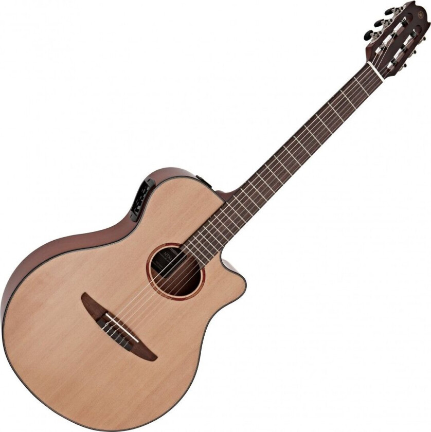 NTX1 Electro Nylon String Natural