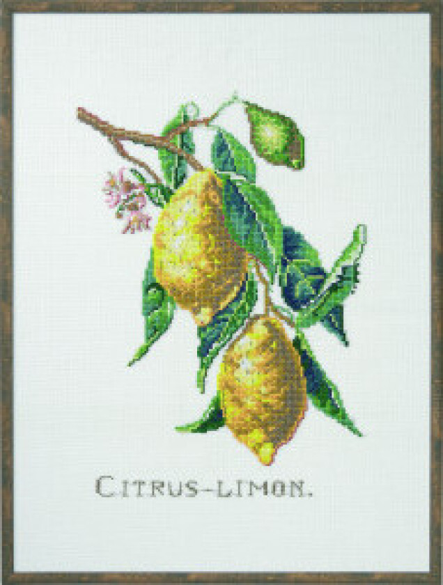 Broderisett Citrus-Sitron 29x39cm