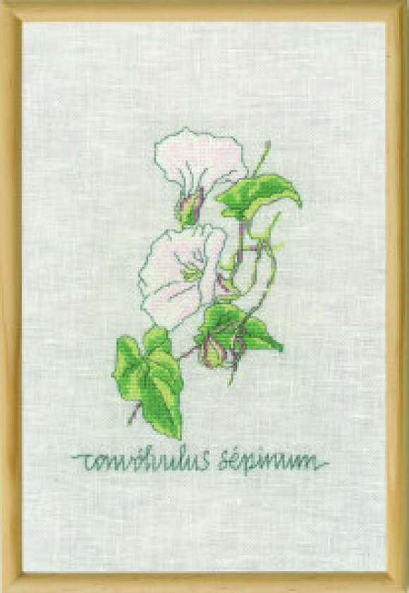 Broderikit Pinnsvin 20x30cm