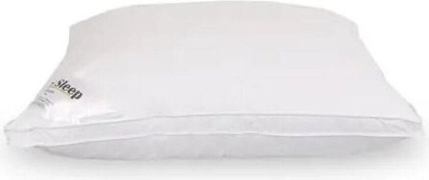 Dunfiber allergivennlig - 50x60cm - Hodepute -