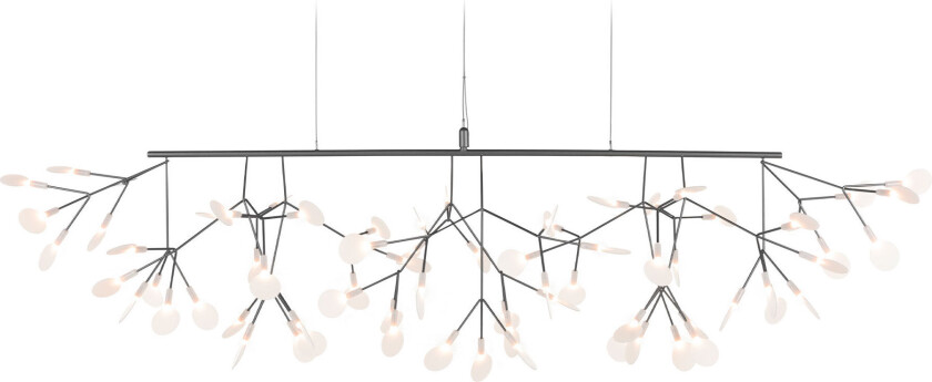 Bilde av Heracleum III Linear Nickel