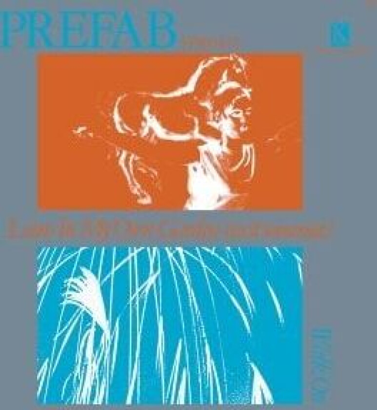 Prefab Sprout - Lions In My Garden